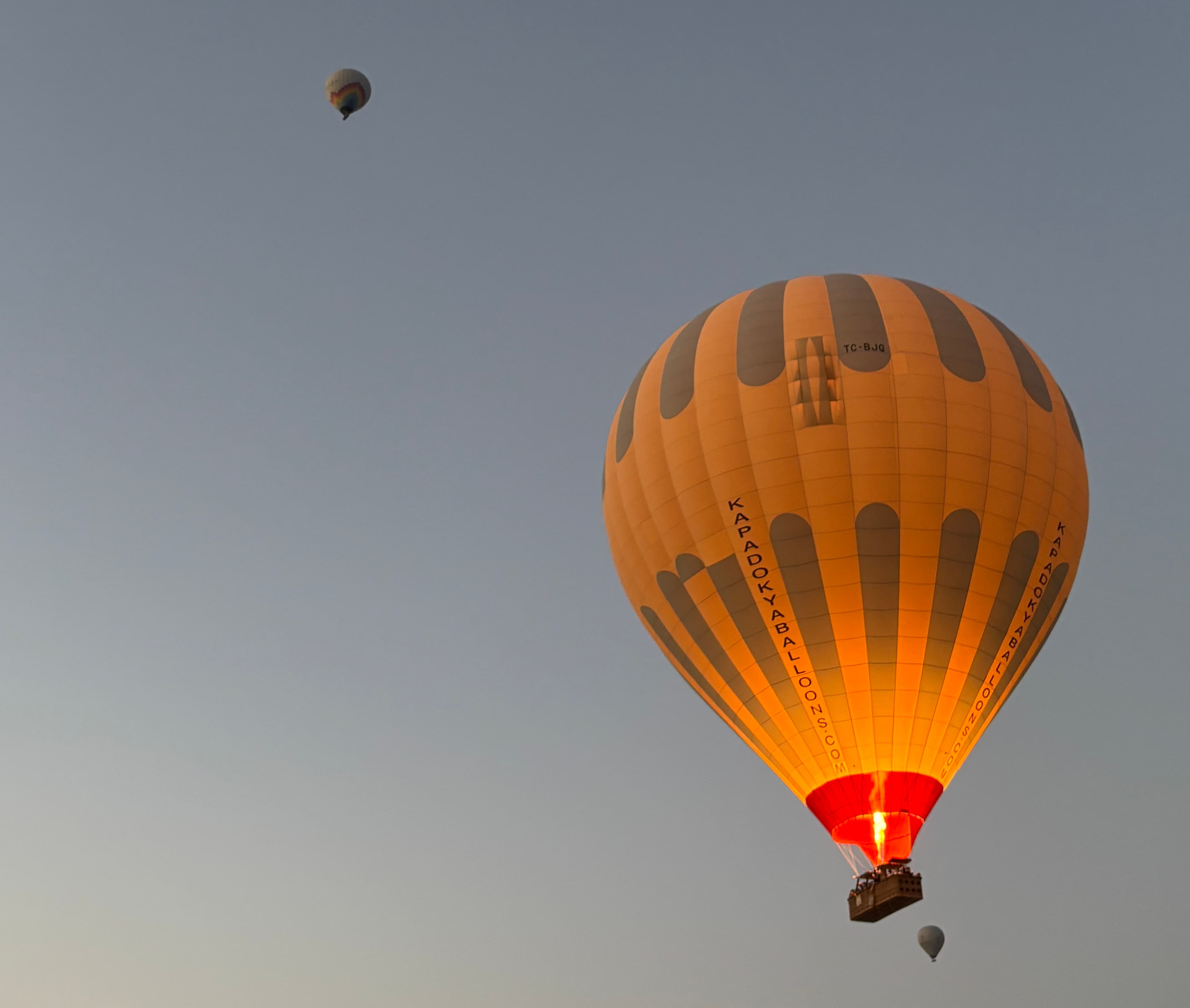 抹茶 — quiet morning